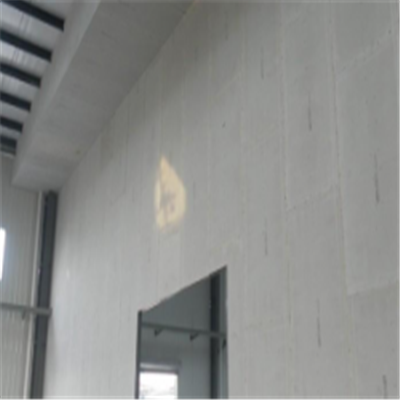 海南宁波ALC板|EPS加气板隔墙与混凝土整浇联接的实验研讨
